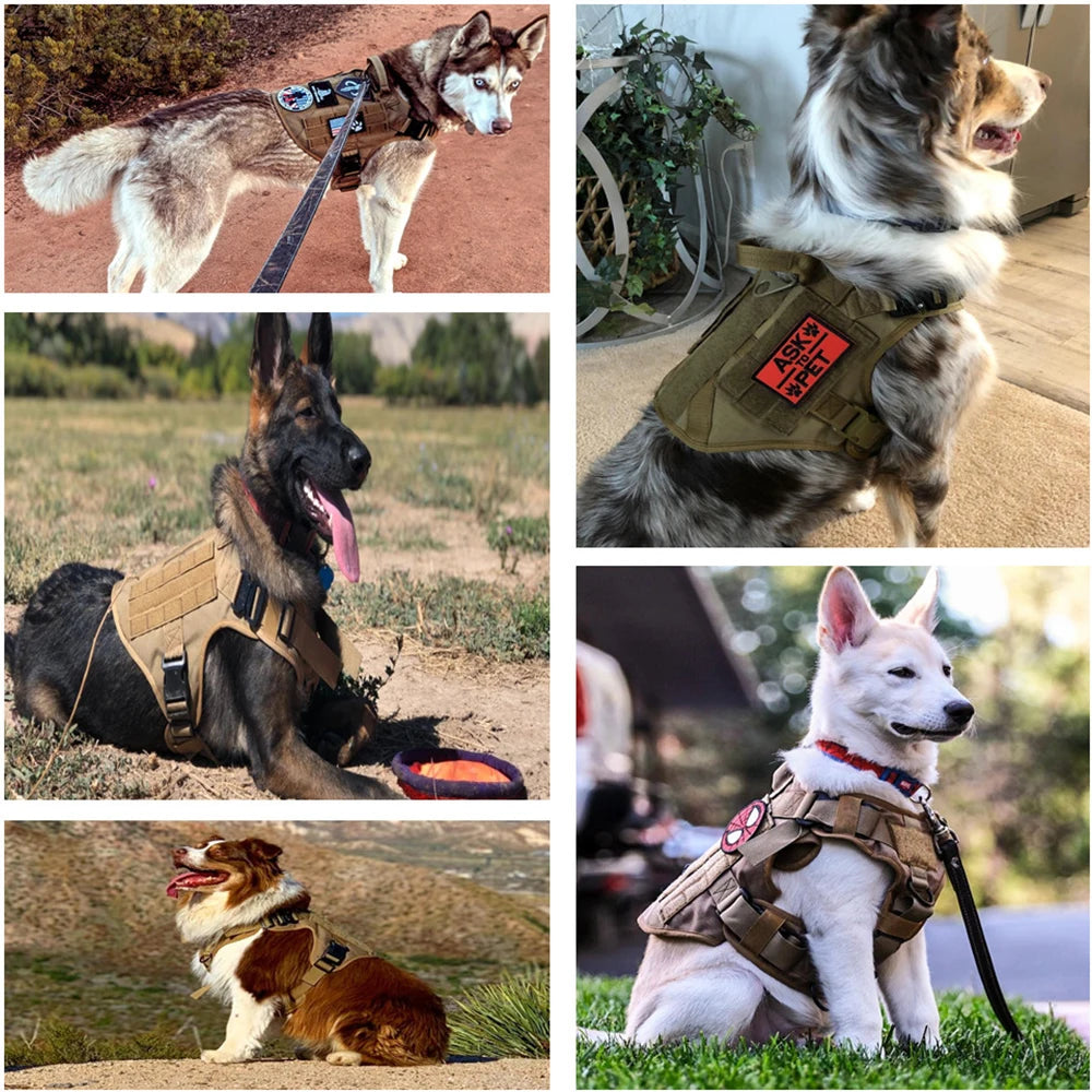 Military Large Dog Harness Training Pet Vest