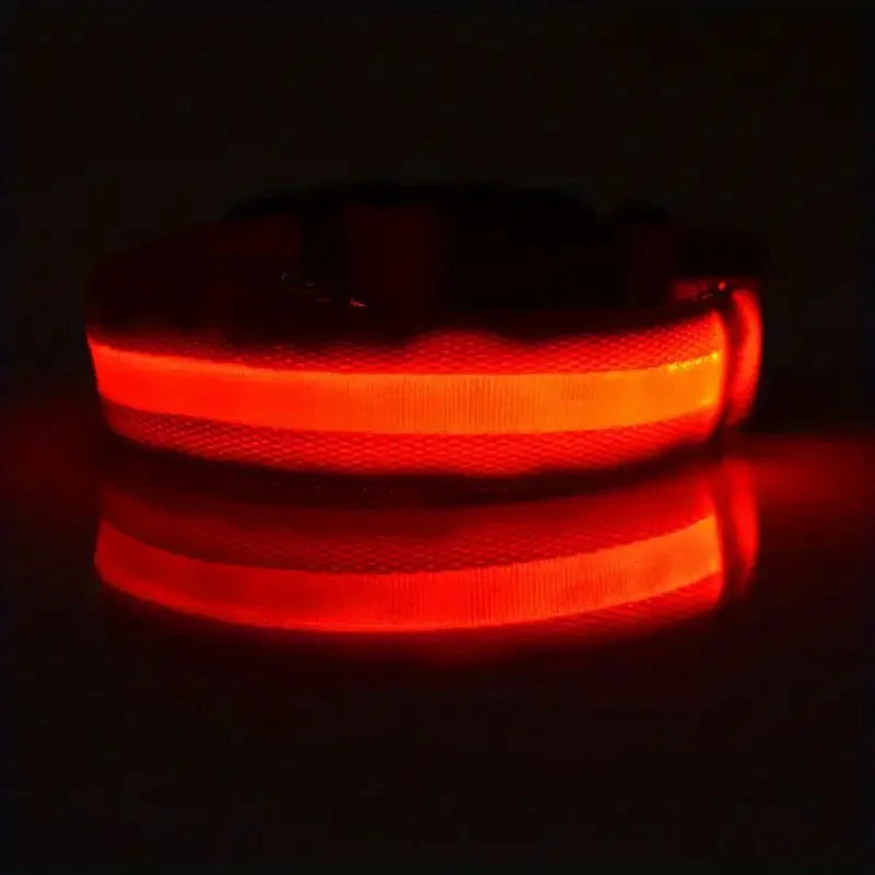Nylon LED Night Safety Flashing Glow In The Dark Dog Leash