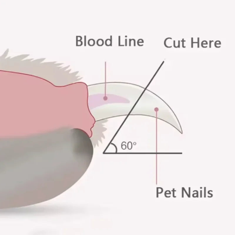 Professional Pet Nail Clippers for Cats And Dogs