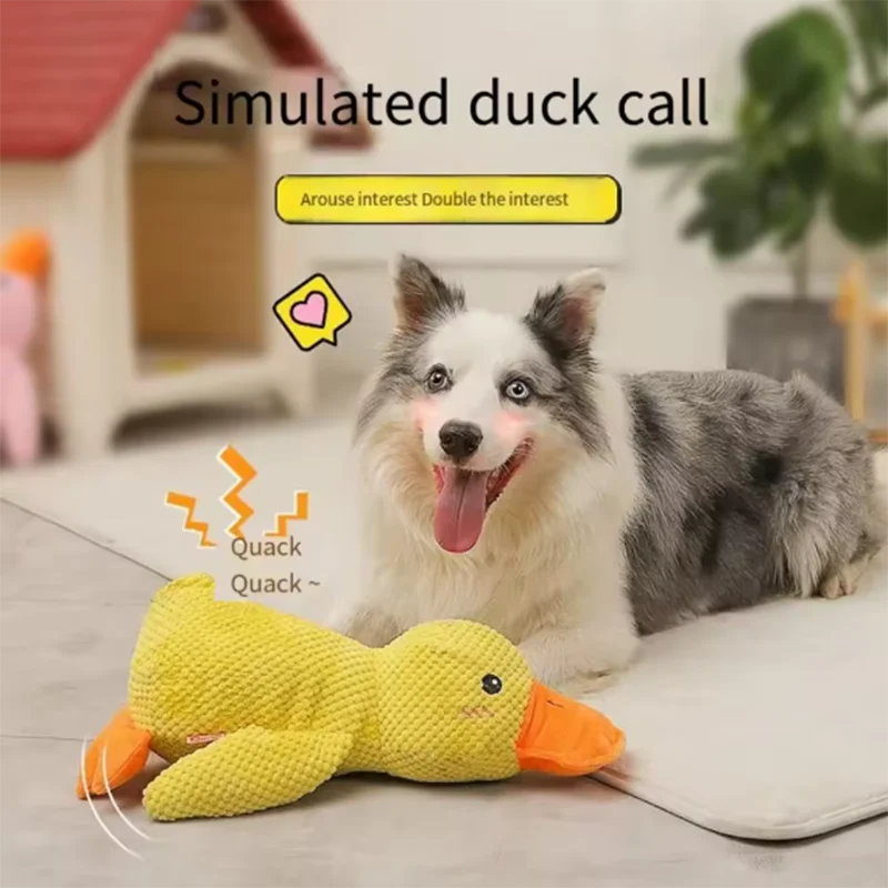 Zoomies & Wags™ Yellow Duck Soft Toy for Pets