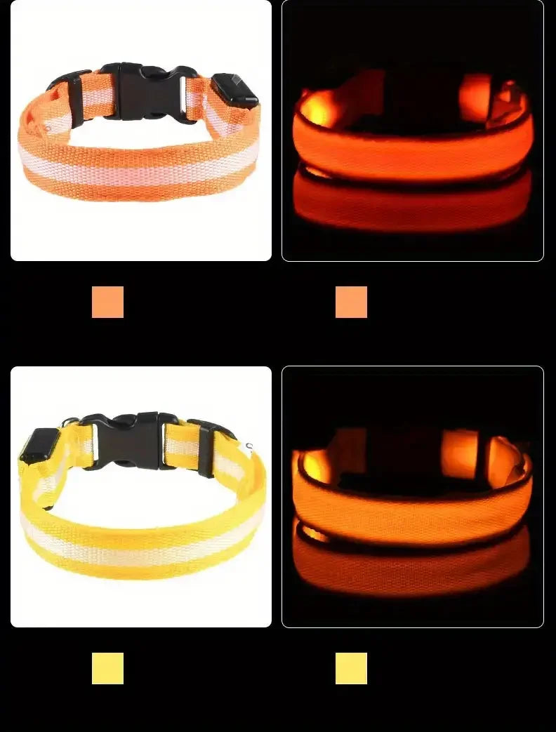 Nylon LED Night Safety Flashing Glow In The Dark Dog Leash