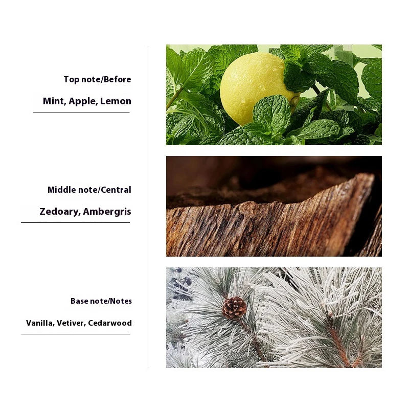 JEAN MISS Perfume For Men