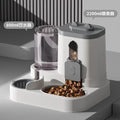 Dog & Cat Automatic Feeder & Waterer Set