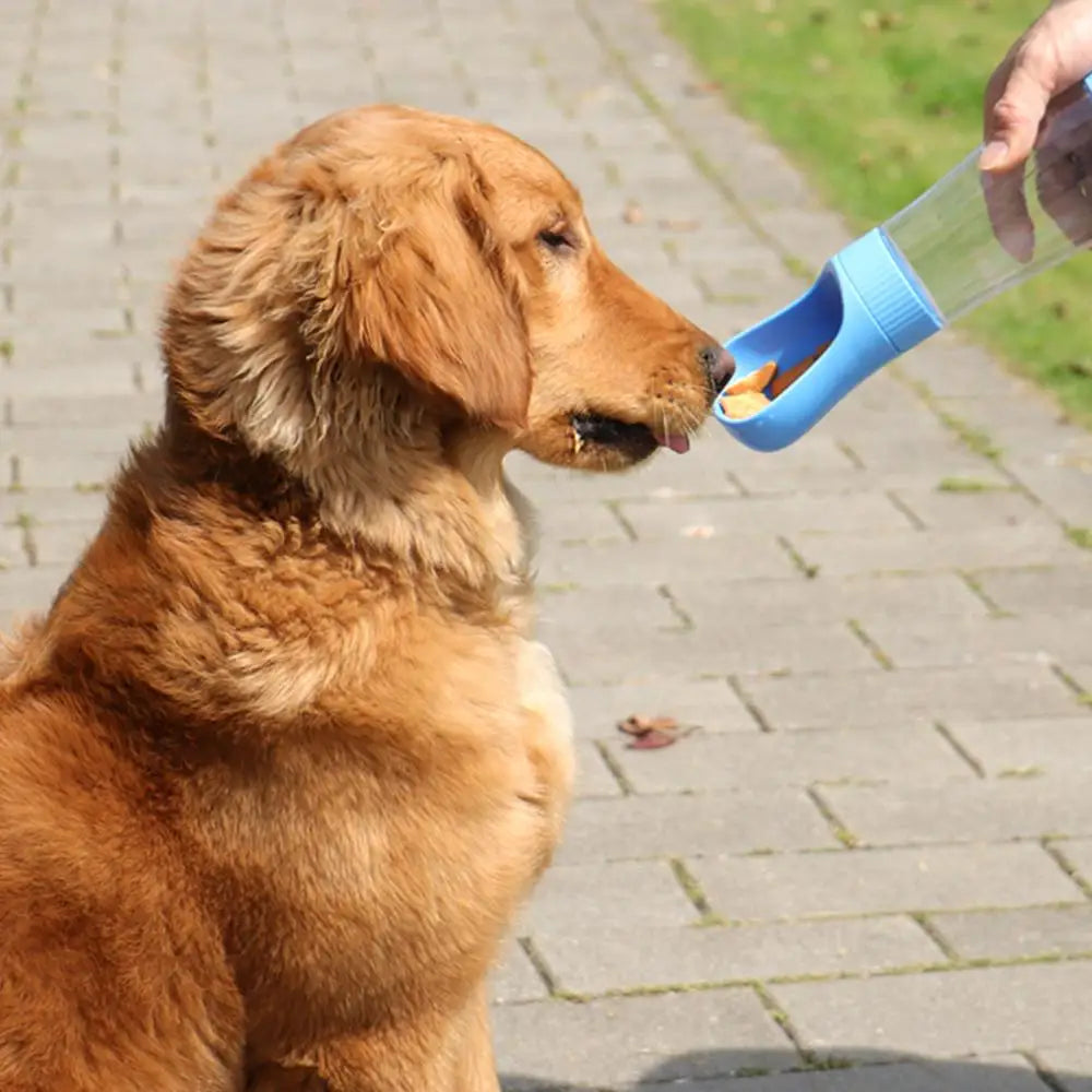 Portable Dog Water Bottle With Food Container