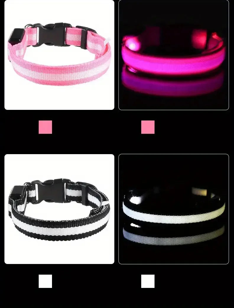 Nylon LED Night Safety Flashing Glow In The Dark Dog Leash