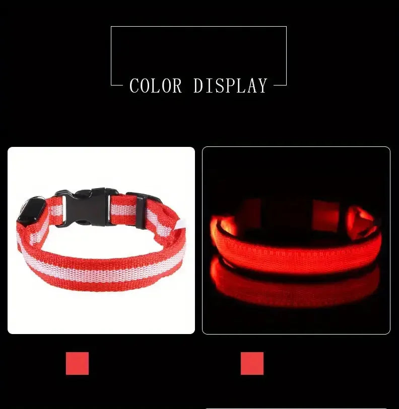 Nylon LED Night Safety Flashing Glow In The Dark Dog Leash