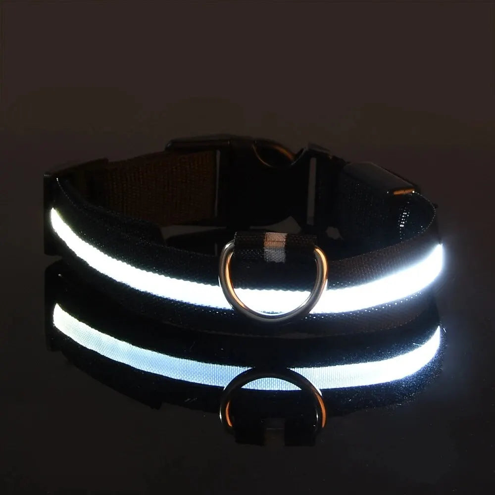 Nylon LED Night Safety Flashing Glow In The Dark Dog Leash