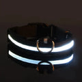 Nylon LED Night Safety Flashing Glow In The Dark Dog Leash