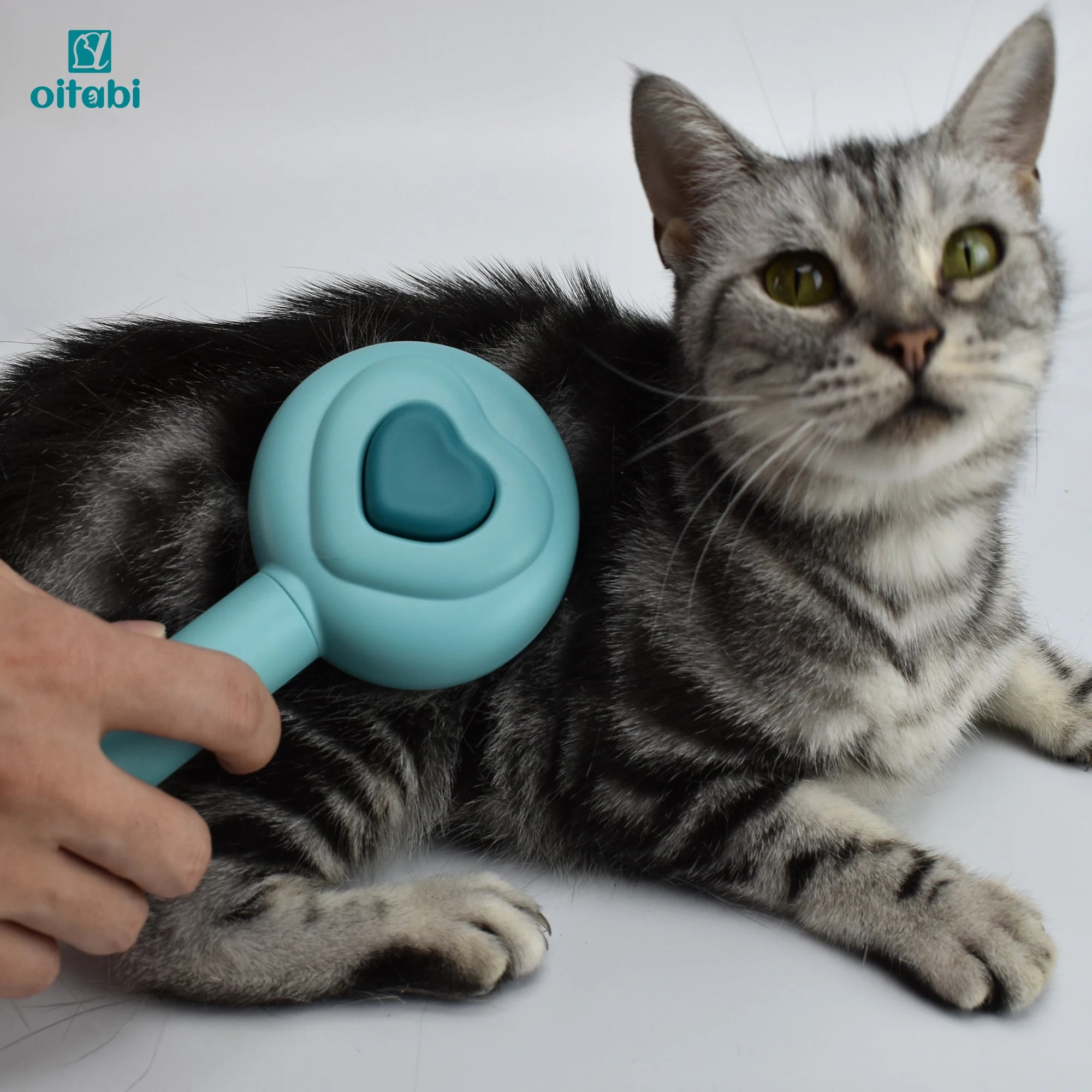 Oitabi Cat Self Cleaning Slicker Brush