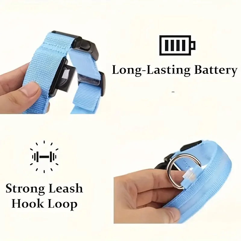 Nylon LED Night Safety Flashing Glow In The Dark Dog Leash