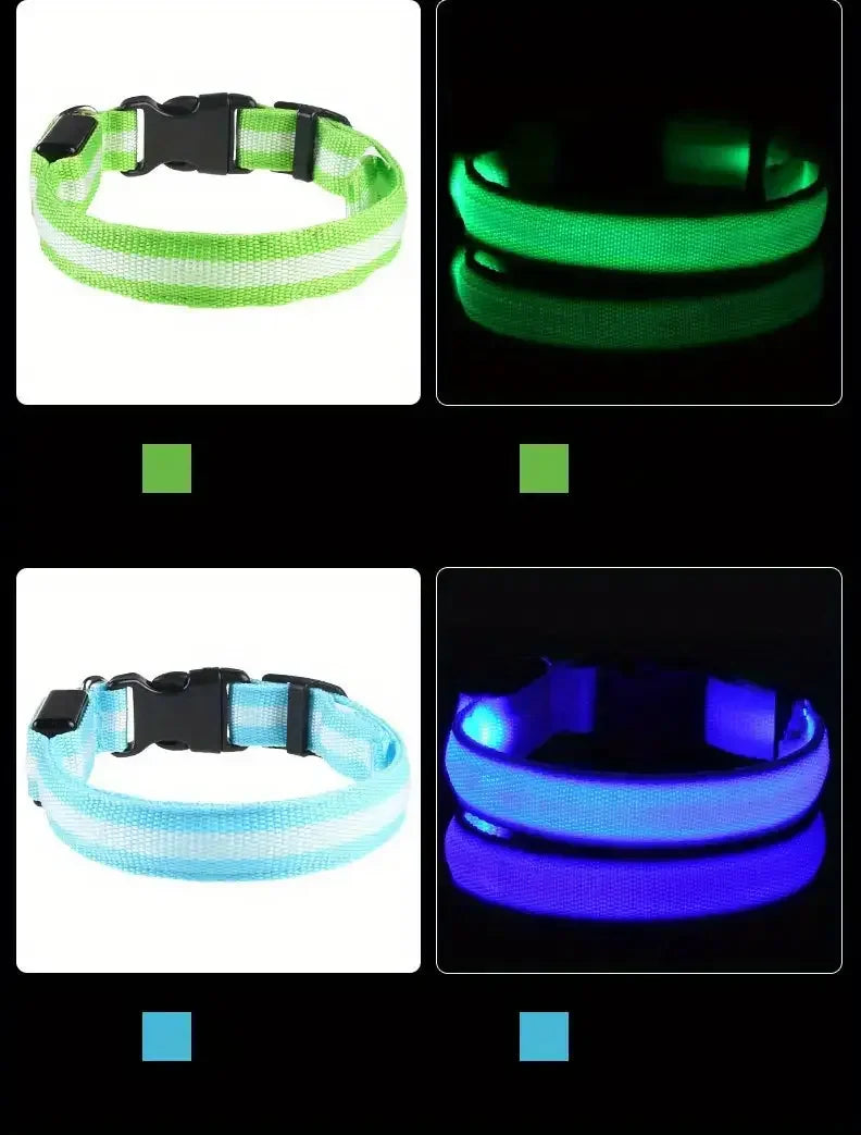 Nylon LED Night Safety Flashing Glow In The Dark Dog Leash