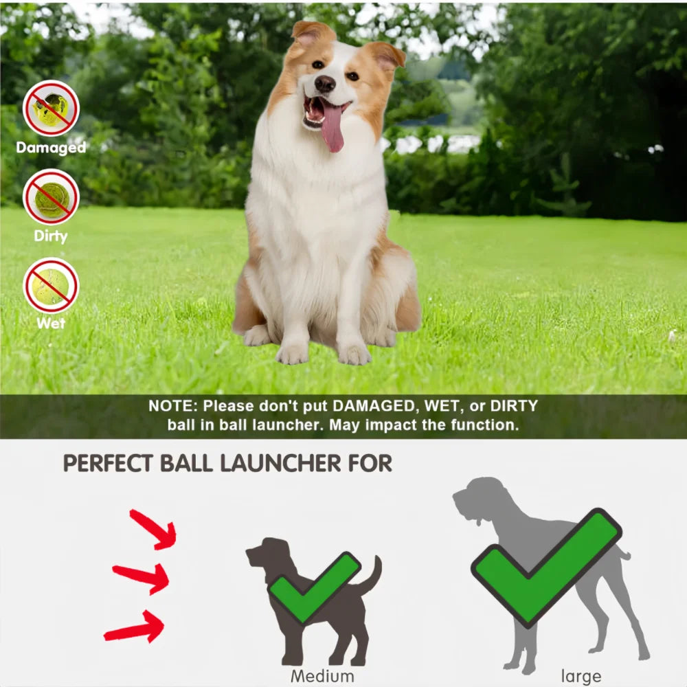 Dog Launcher Automatic Dogs Chase Toy Tennis