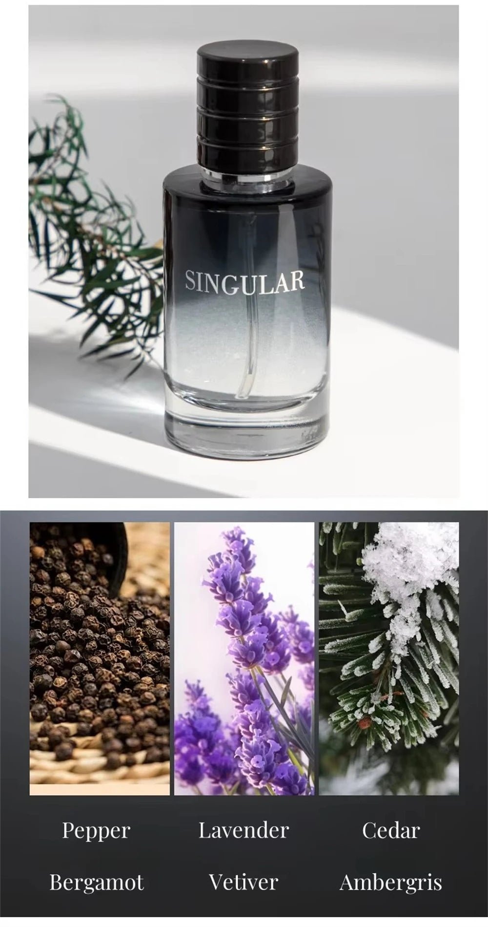 Luxury Brand Perfume Men Cologne Gift Box