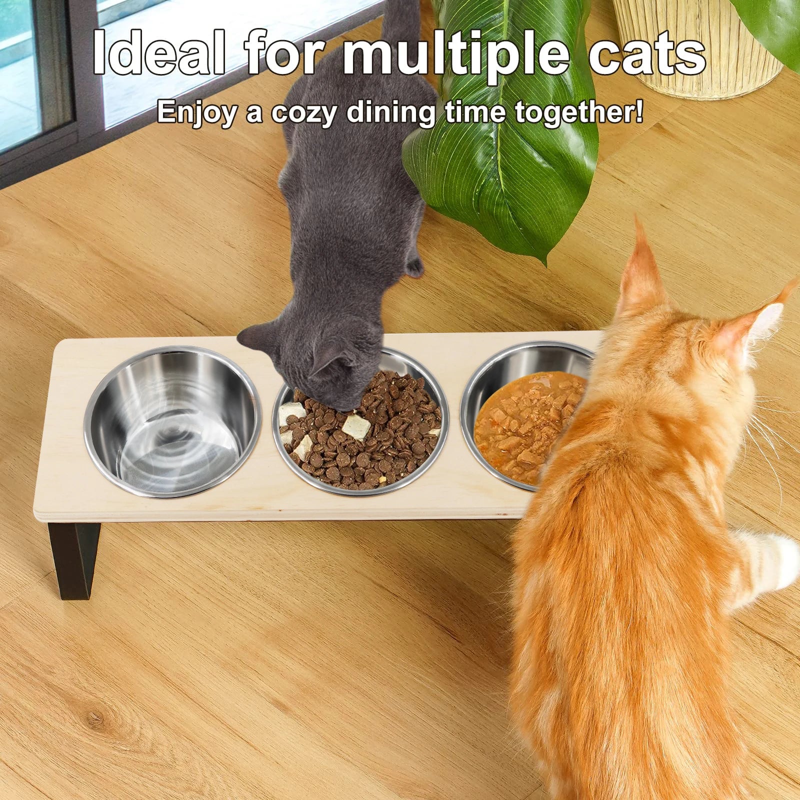 Elevated Cat Bowls Feeder 15° Tilted Raised Feeding & Watering Supplies