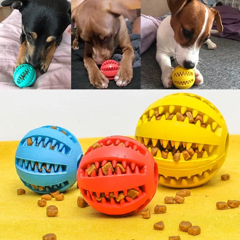 Cross-border pet dog leakage toy balls