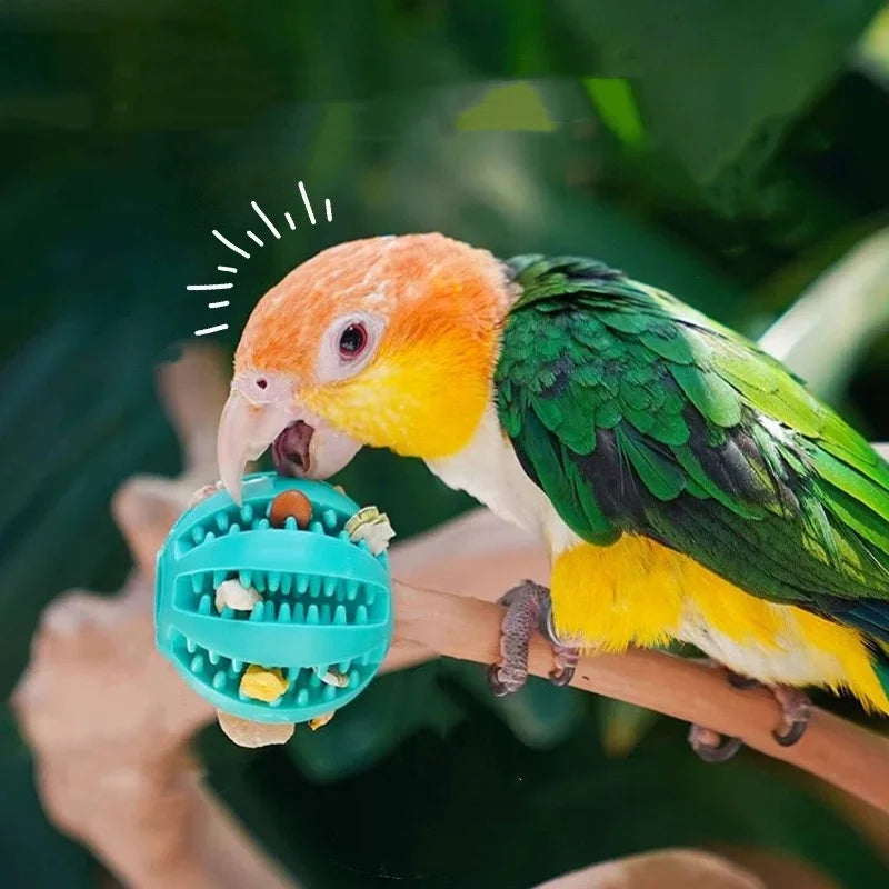 Cross-border pet dog leakage toy balls