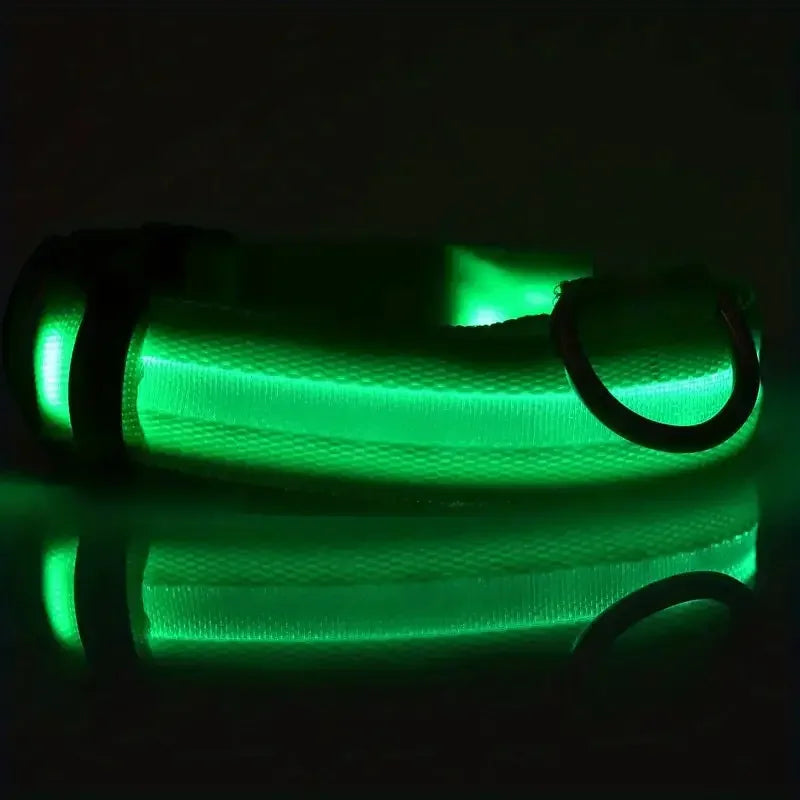 Nylon LED Night Safety Flashing Glow In The Dark Dog Leash