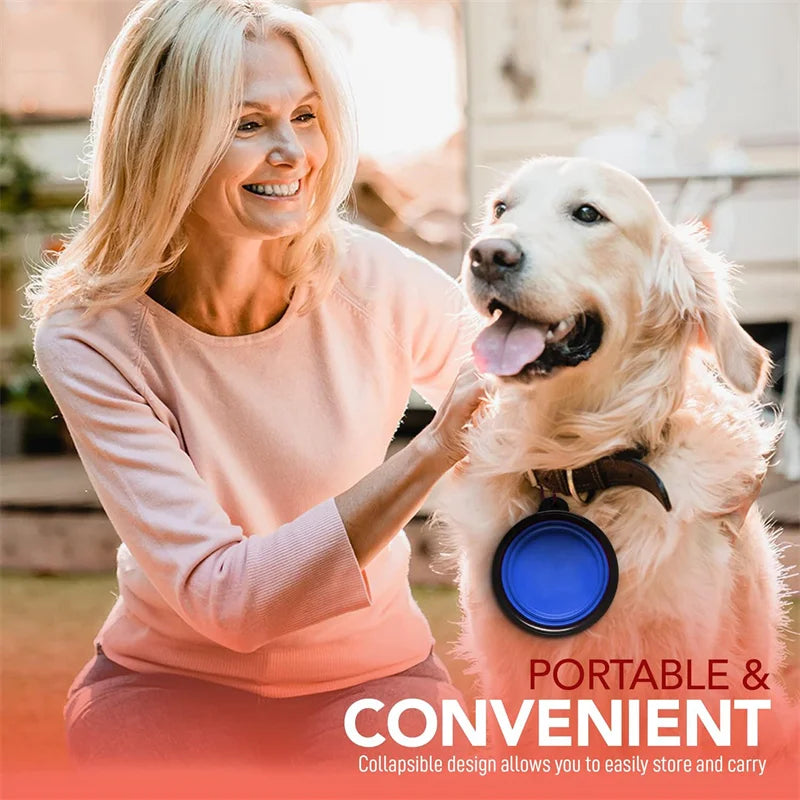 Slow Feeder Dog Bowl Mental Stimulate Detachable Puzzle